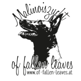 (c) Of-fallen-leaves.at